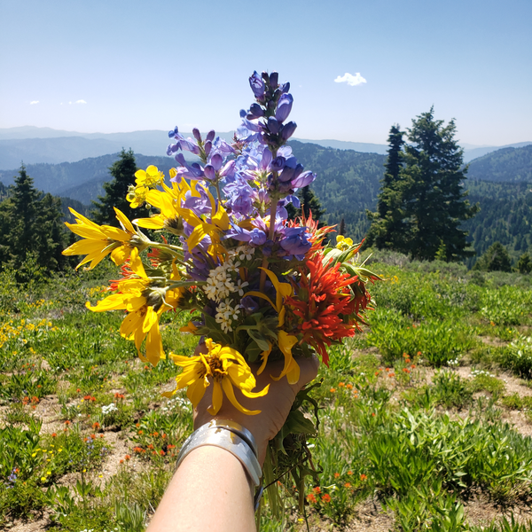 Wildflower + Sage Smudge Bundles