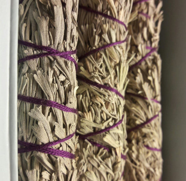 Sage Smudge Sticks - Box of 3
